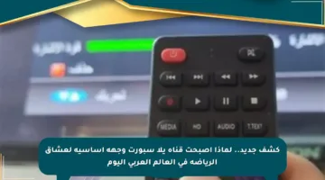 كشف جديد.. لماذا أصبحت قناة يلا سبورت وجهة أساسية لعشاق الرياضة في العالم العربي اليوم